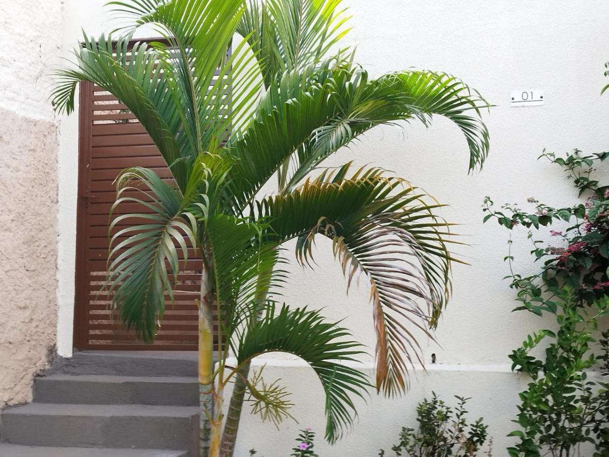 Capim Santo Casa de férias Goiânia